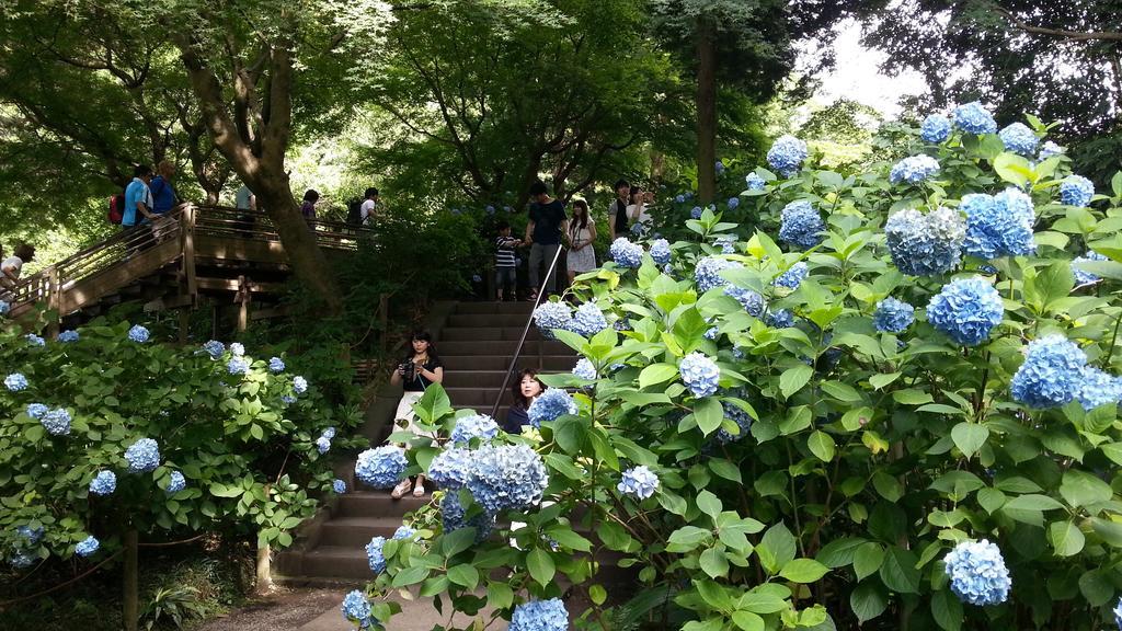Enoshima Guest House 134 Fujisawa Bagian luar foto